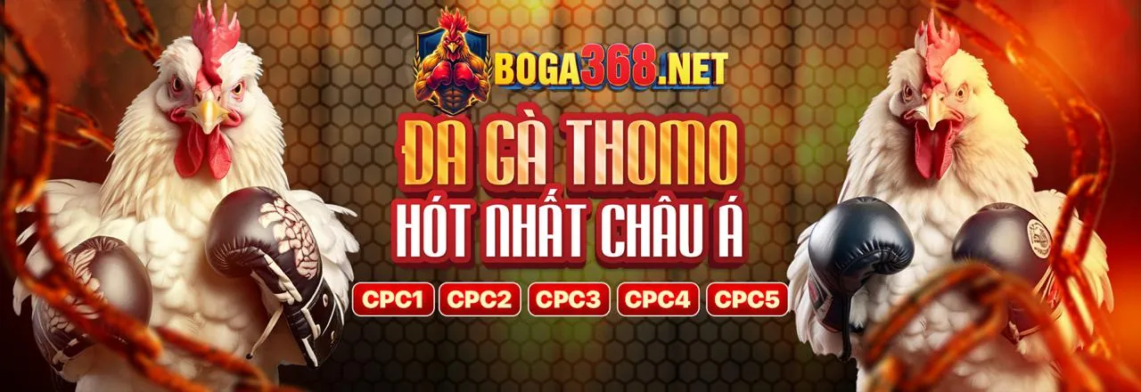 Tải Ứng Dụng Hubet - Trải Nghiệm Cá Cược Di Động